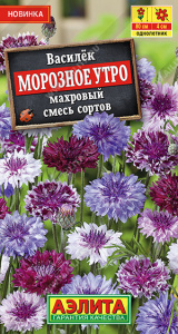 Василек Морозное утро махровый, смесь сортов купить