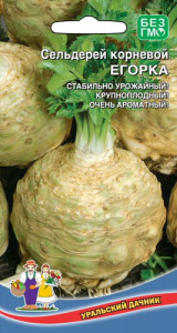 Сельдерей Егорка корневой купить