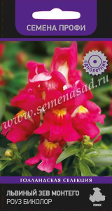 Львиный зев Монтего Роуз Биколор  купить