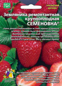 Земляника Семёновна ремонтантная  купить