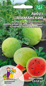 Арбуз Атаманский купить