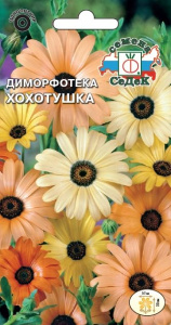Диморфотека Хохотушка  купить