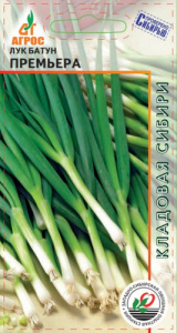 Лук Премьера, батун купить