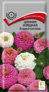Цинния Ягодный коктейль изящная купить