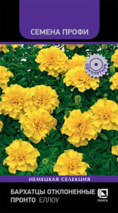 Бархатцы Пронто Еллоу отклоненные купить