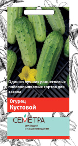 Огурец Кустовой купить