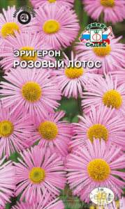 Эригерон Розовый лотос  купить