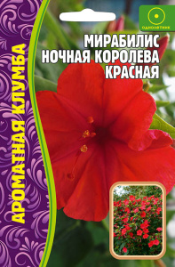 Мирабилис Ночная Королева Красная купить