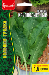 Щавель Крупнолистный купить