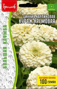 Цинния Кураж Кремовая карликовая купить
