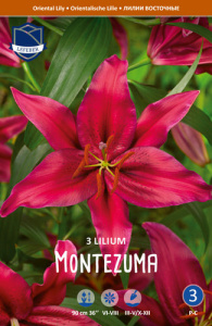 Лилия восточная Montezuma /3шт купить