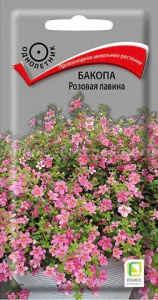 Бакопа Розовая лавина купить