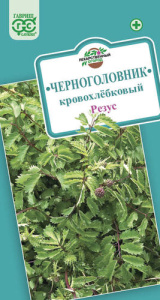 Кровохлебка лекарств Резус  купить