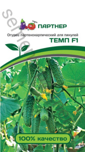 Огурец Темп F1 купить