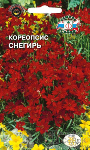Кореопсис Снегирь  купить