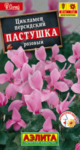 Цикламен персидский Пастушка розовый  купить