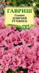 Годеция Девичий румянец  купить