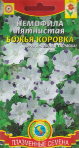 Немофила пятнистая Божья коровка  купить