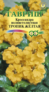 Кроссандра Тропик Желтая  купить