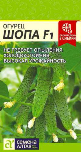Огурец Шопа F1 купить