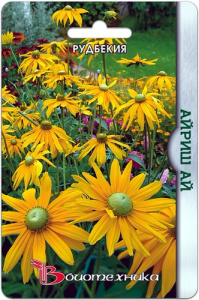 Рудбекия Айриш Ай  купить