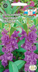 Бальзамин Сандра  купить