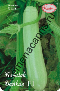 Кабачок Байкал/1шт  купить