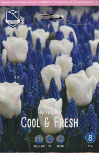 Смесь "Cool & Fresh" (1х40шт) купить