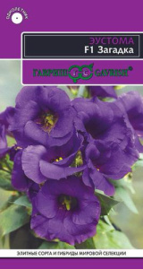 Эустома Загадка F1 низкорослая горшечная (голубая)  купить