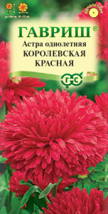 Астра Королевская красная  купить