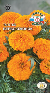 Тагетес Верблюжонок прямостоячий  купить