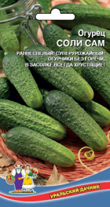 Огурец Соли Сам  купить