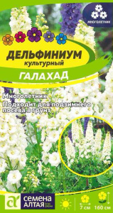 Дельфиниум Галахад  многолетник купить