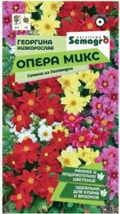 Георгина низкорослая Опера микс  купить