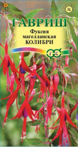Фуксия Колибри магелланская  купить