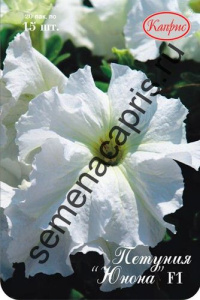 Петуния Юнона Белая F1 (Германия)/1шт купить