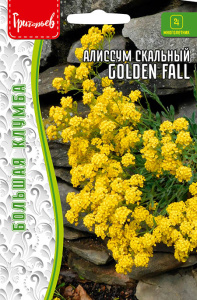 Алиссум Золотая осень (Golden Fall)  скальный купить