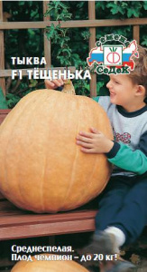 Тыква Тещенька F1  купить