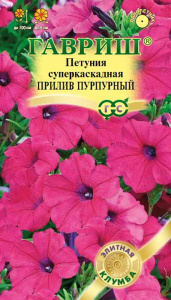Петуния Прилив Пурпурный F1 (Минитуния) суперкаскадная купить