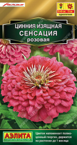 Цинния Сенсация розовая купить