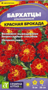 Бархатцы Брокада Красная откл. махр. купить
