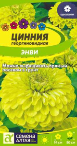 Цинния Энви георгинов.  купить