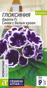 Глоксиния Аванти F1 Синяя с белым краем купить