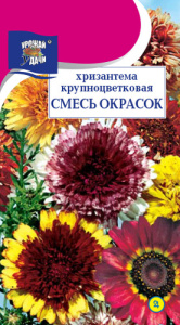 Хризантема Крупноцветковая,смесь  купить