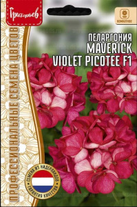 Пеларгония Маверик Violet Picotee F1 купить