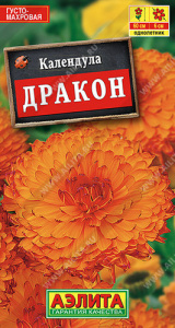Календула Дракон  купить