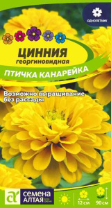 Цинния Птичка Канарейка  купить