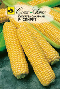 Кукуруза Спирит F1 сахарная купить