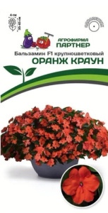 Бальзамин Уоллера F1 Оранж Краун  купить