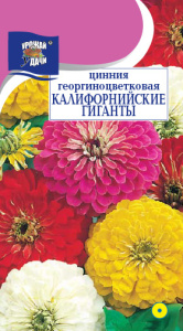 Цинния Калифорнийские гиганты  купить